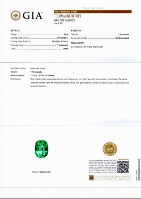 Сертификат Крупный неоново-зеленый турмалин Параиба 17,04 карат, Мозамбик