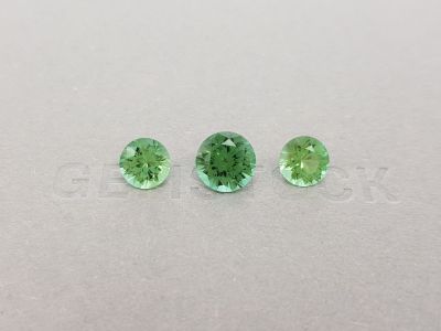 Комплект из трех зеленых турмалинов в огранке круг 5,51 карата photo