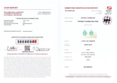 Сертификат Пара турмалинов параиба в огранке груша 3,48 карат