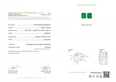Сертификат Пара насыщенных изумрудов цвета Muzo Green 2,99 карат, Колумбия