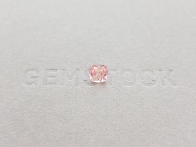 Розовый турмалин рубеллит в огранке кушон 1,03 карата photo