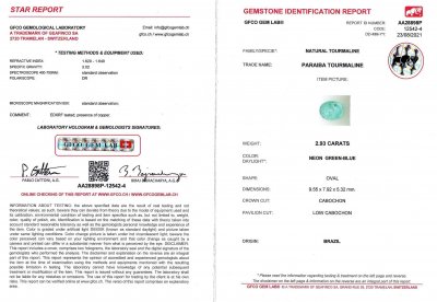 Сертификат Неоновый бразильский турмалин Параиба 2,93 карата, GFCO