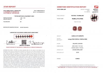 Сертификат Пара насыщенных африканских рубеллитов 9,53 карат в огранке кушон