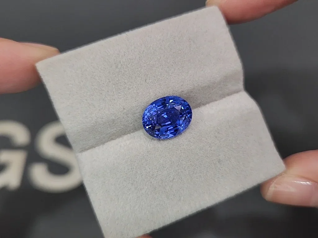 Негретый сапфир Cornflower Blue в огранке овал 5,50 карат, Шри-Ланка Изображение №4