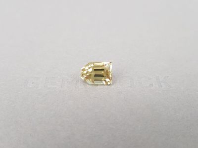 Золотистый турмалин в фантазийной огранке 4,16 карата photo