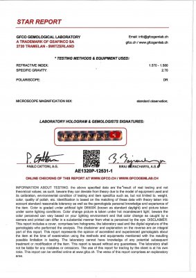 Сертификат Пара насыщенных замбийских аквамаринов 24,87 карата, GFCO