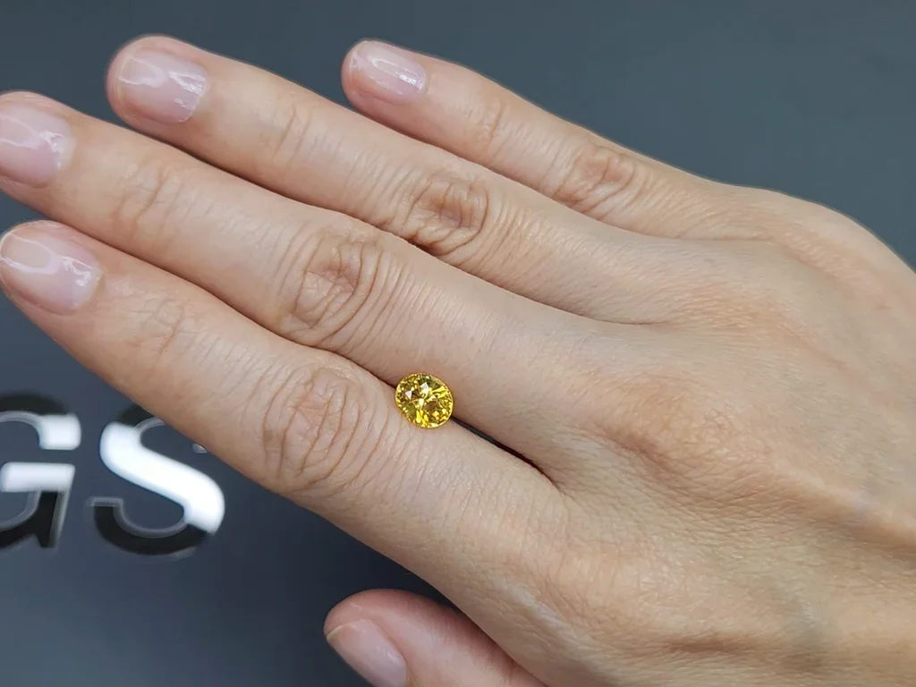 Желтый сапфир Golden color в огранке овал 1,52 карата, Шри -Ланка  Изображение №2