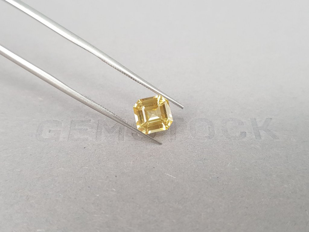 Кольцо с золотым сапфиром 2,07 карат и бриллиантами в белом золоте 750 пробы Изображение №8
