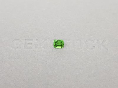 Ярко-зеленый гранат-цаворит в огранке кушон 0,72 карата photo