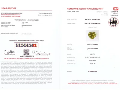 Сертификат Мятный турмалин в высокоточной огранке сердце 13,87 карат