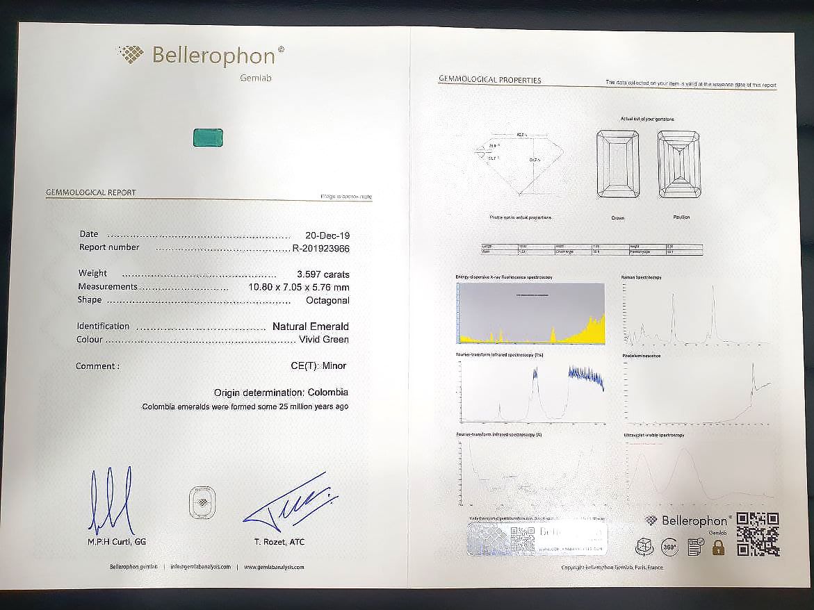Identification Report Bellerophon фото №1