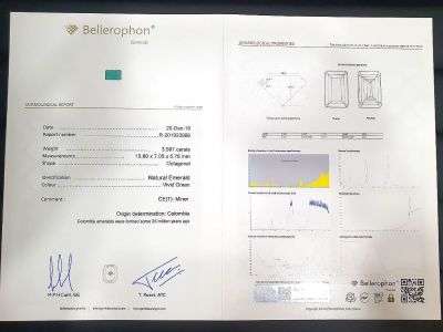 Identification Report Bellerophon