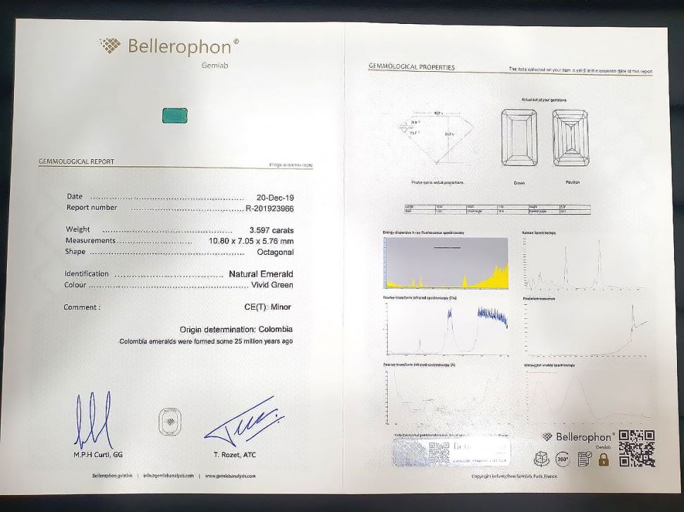 Identification Report Bellerophon Изображение №1