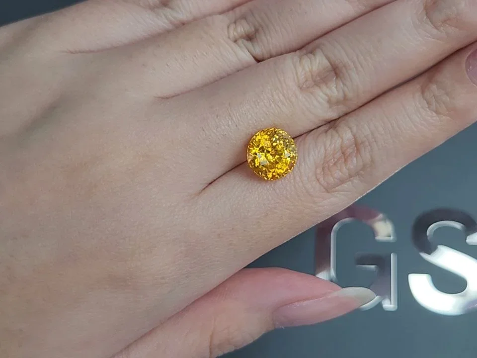 Сапфир Golden Yellow в огранке круг 5,82 карата, Шри-Ланка Изображение №2