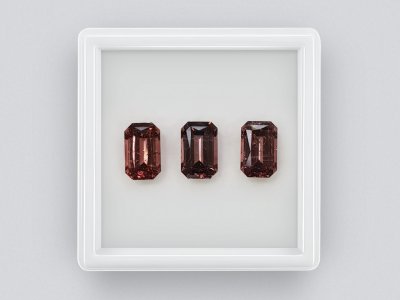 Сет рубеллитов в огранке октагон 3,99, Африка photo