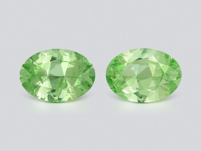 Пара гранатов гроссуляр  в огранке овал 1.49 карат, Танзания photo