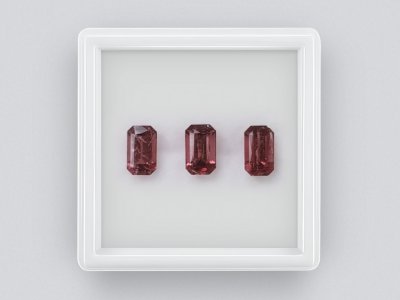 Сет рубеллитов в огранке октагон 3,25, Африка photo