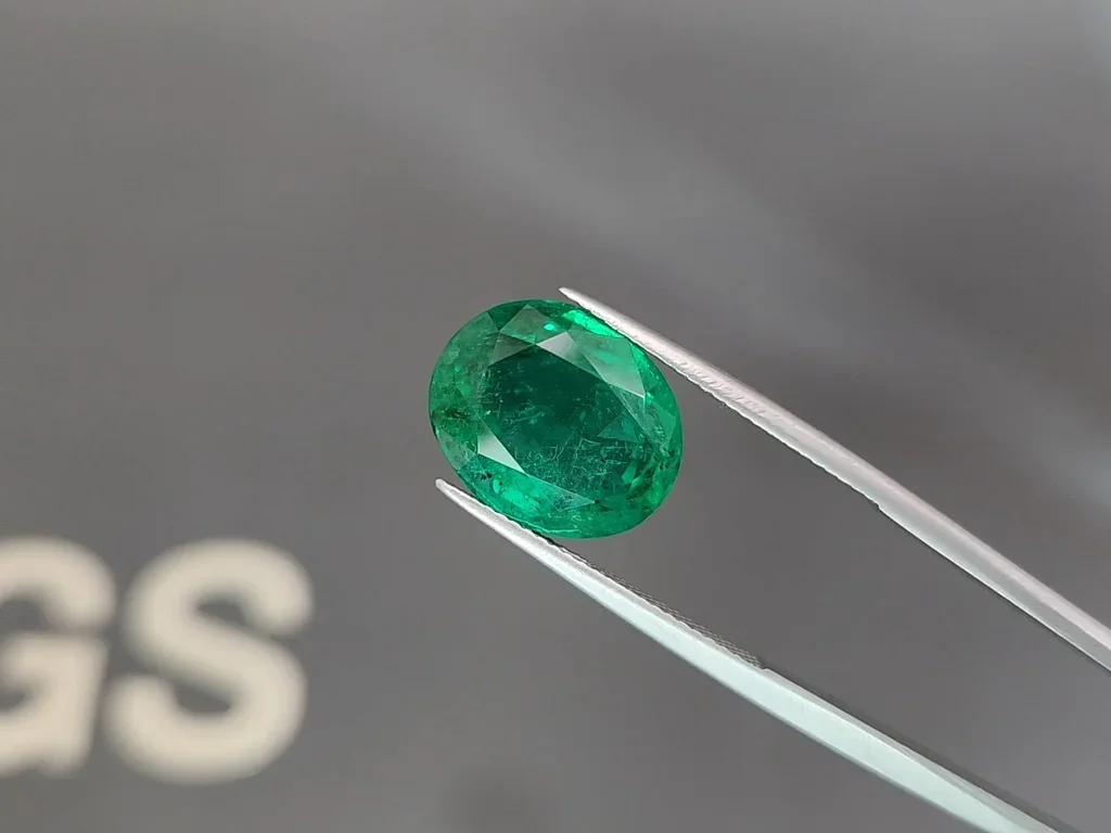 Изумруд Vivid Green в огранке овал 9,70 карата, Замбия Изображение №3