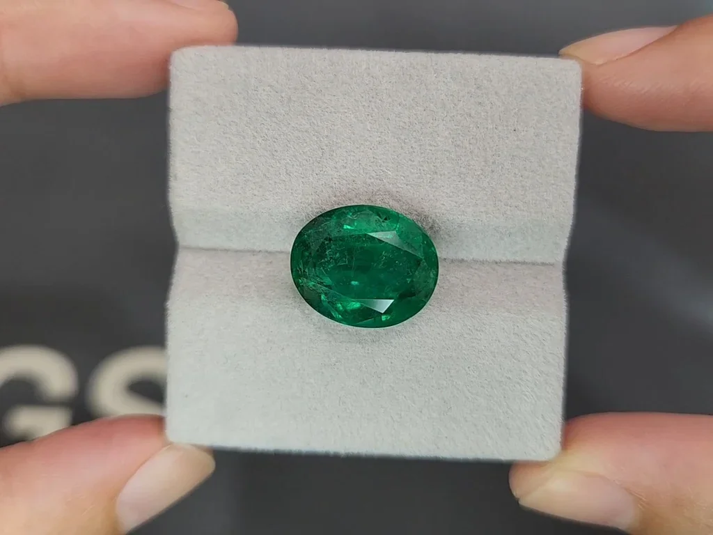  Изумруд Vivid Green в огранке овал 9,70 карата, Замбия Изображение №4