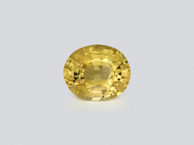 Негретый сапфир Vivid Yellow в огранке овал 1,57 карат, Шри-Ланка photo