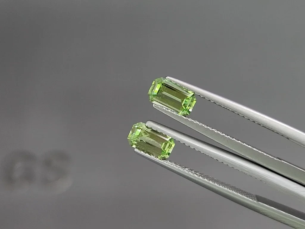 Пара мятно-зеленых гранат гроссуляр в огранке октагон 1,38 карат, Танзания Изображение №3