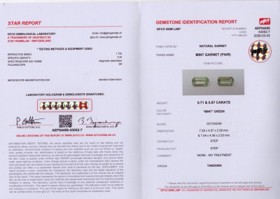 Сертификат Пара мятно-зеленых гранат гроссуляр в огранке октагон 1,38 карат, Танзания