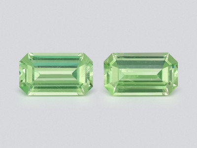 Пара мятно-зеленых гранат гроссуляр в огранке октагон 1,38 карат, Танзания photo