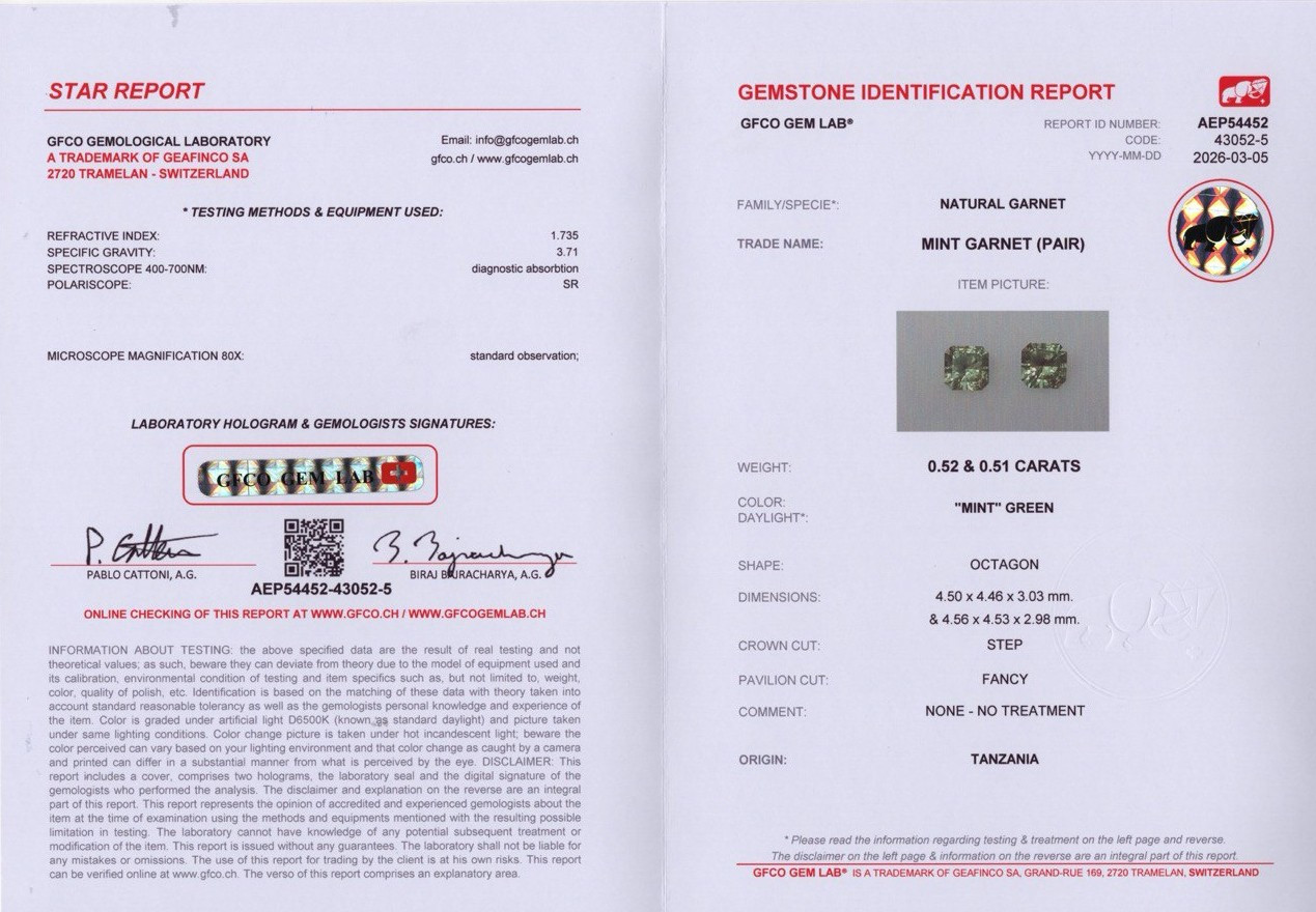 Пара гранатов гроссуляр в огранке радиант 1,03 карат, Танзания Изображение №5