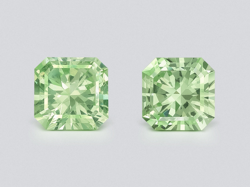 Пара гранатов гроссуляр в огранке радиант 1,03 карат, Танзания Изображение №1