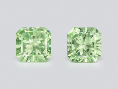 Пара гранатов гроссуляр в огранке радиант 1,03 карат, Танзания photo