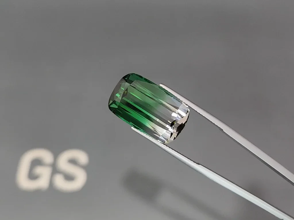 Крупный турмалин Bi-color в огранке кушон 24,480 карат, Афганистан  Изображение №3