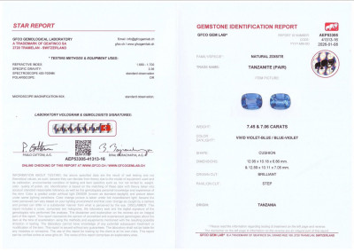 Сертификат Пара танзанитов в огранке кушон 14,51 карат, Танзания 