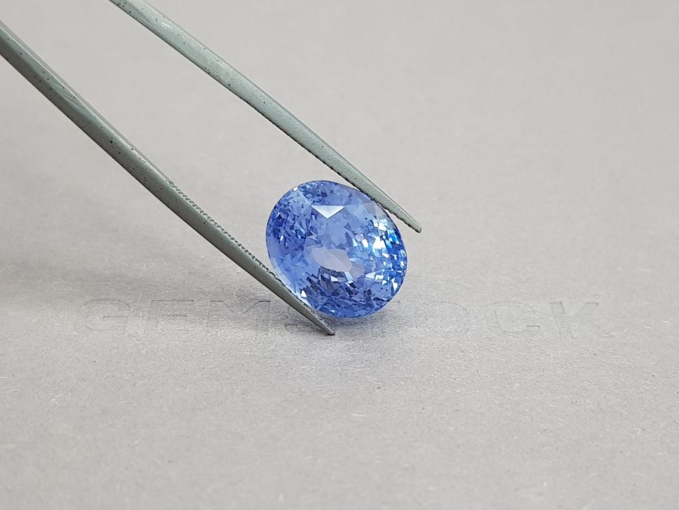 Негретый голубой сапфир в огранке овал 14,09 карат, Шри-Ланка Изображение №4