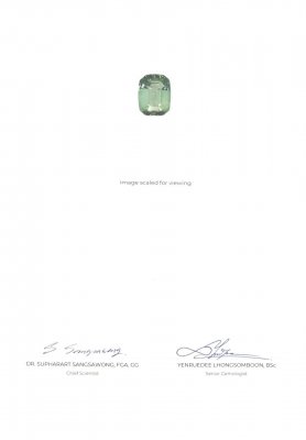 Сертификат Яркий зеленый турмалин с голубым оттенком 12,51 карата