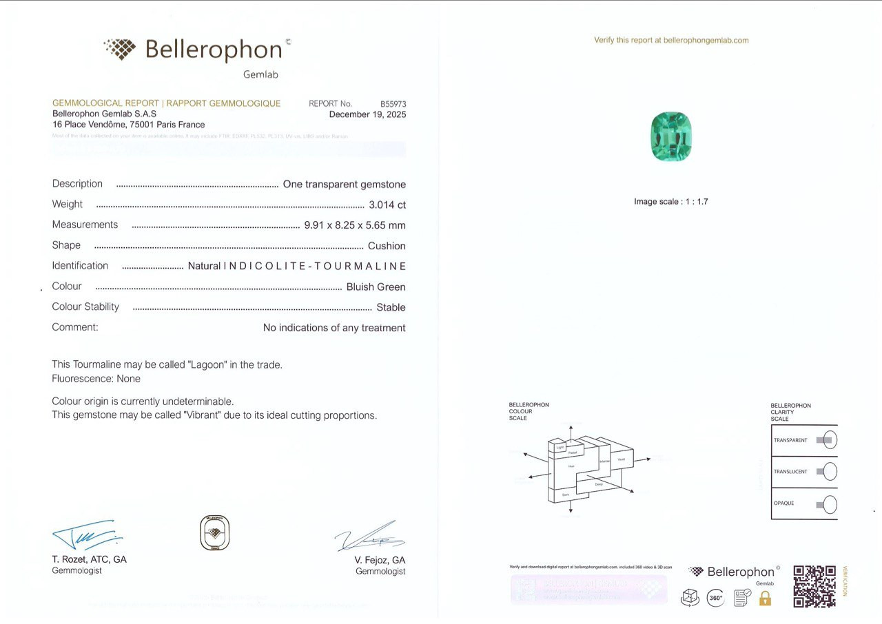 Турмалин Lagoon в огранке кушон 3.01 карат, Афганистан Изображение №6