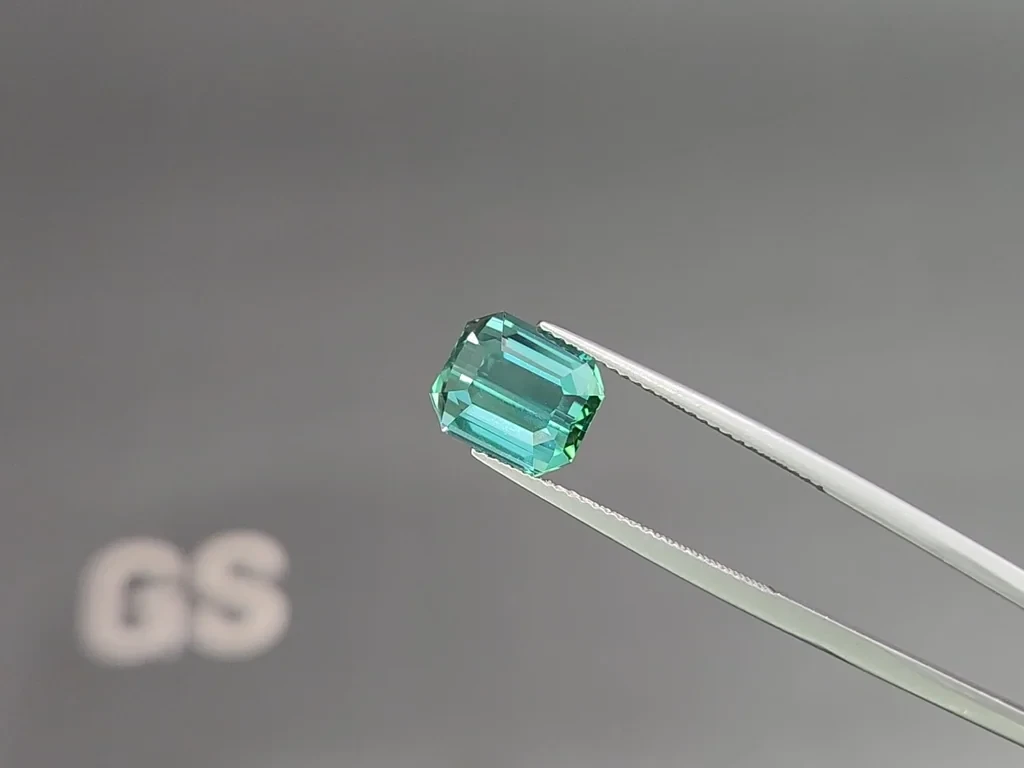 Турмалин Lagoon в огранке октагон 4.60 карат, Афганистан Изображение №3