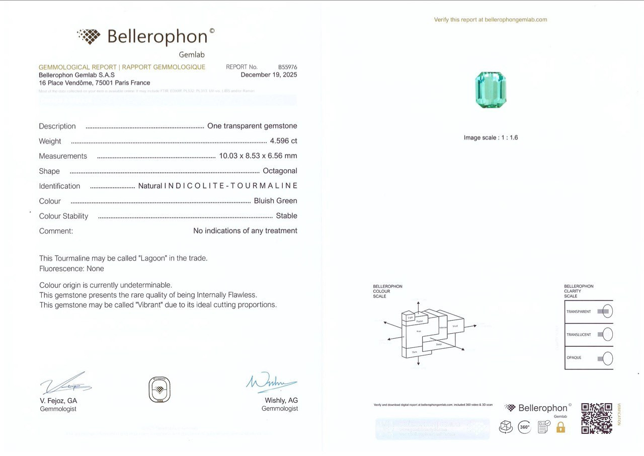 Турмалин Lagoon в огранке октагон 4.60 карат, Афганистан Изображение №6