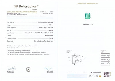 Сертификат Турмалин Lagoon в огранке октагон 4.60 карат, Афганистан