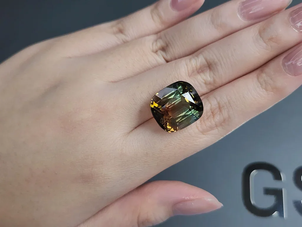 Bi-color турмалин в огранке кушон 24,95 карата, Мозамбик  Изображение №2