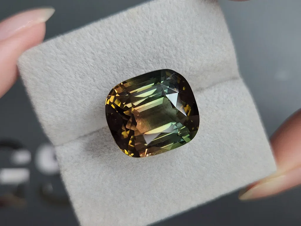 Bi-color турмалин в огранке кушон 24,95 карата, Мозамбик  Изображение №4