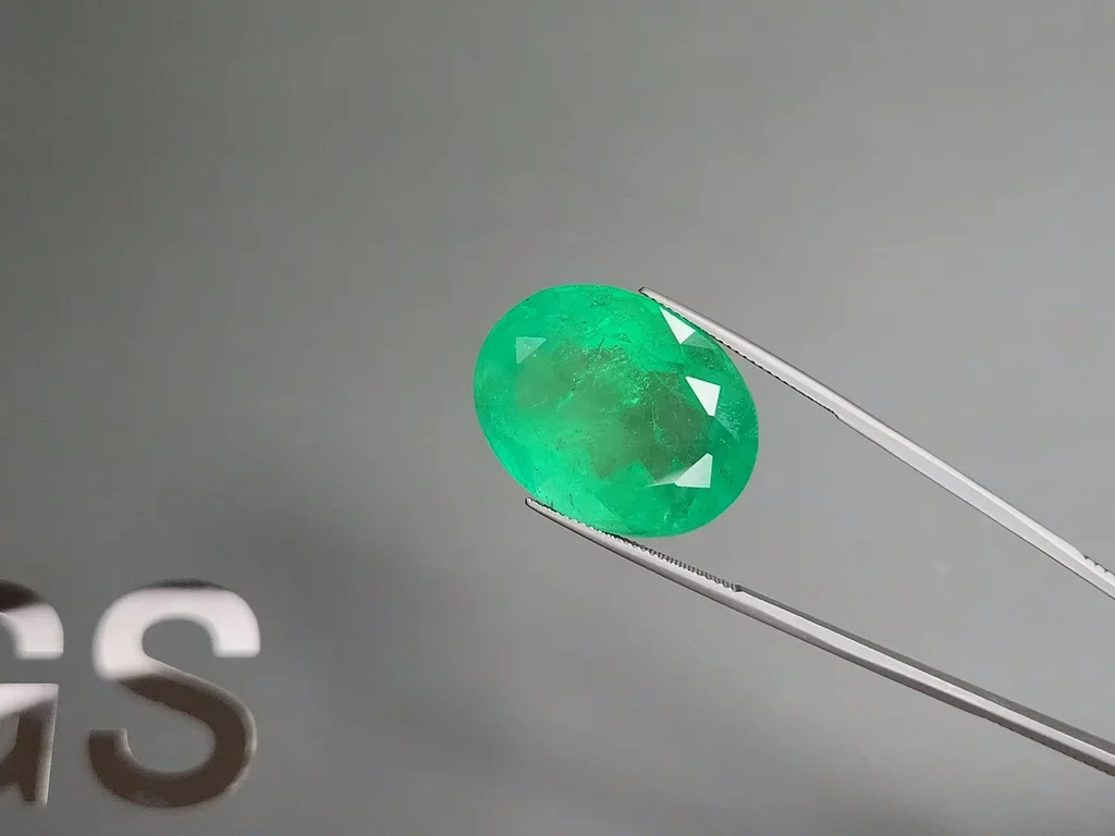 Изумруд Intense Green в огранке овал 48,33 карата, Колумбия Изображение №3