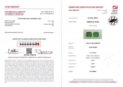 Сертификат Пара колумбийских изумрудов в огранке октагон 3,31 карат, Vivid Green