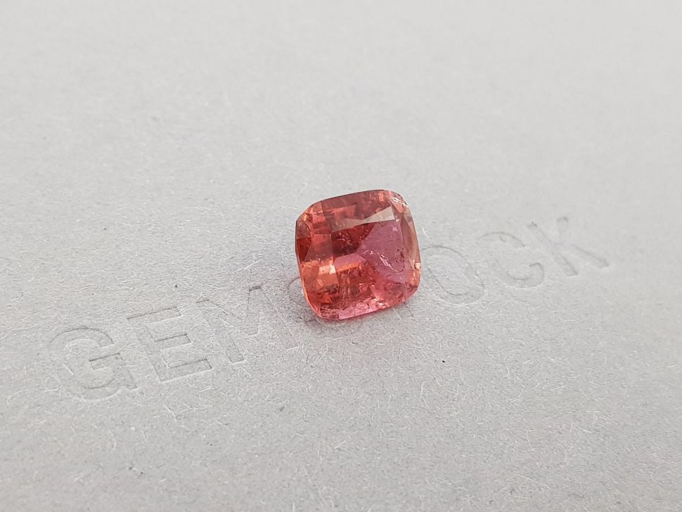 19000044074 tourmaline