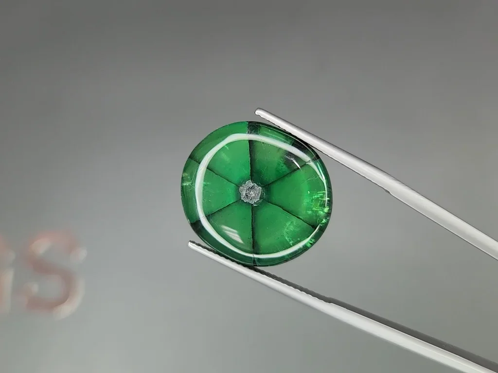 Крупный изумруд трапиче Vivid Green в огранке кабошон 24,35 карат, Колумбия Изображение №3
