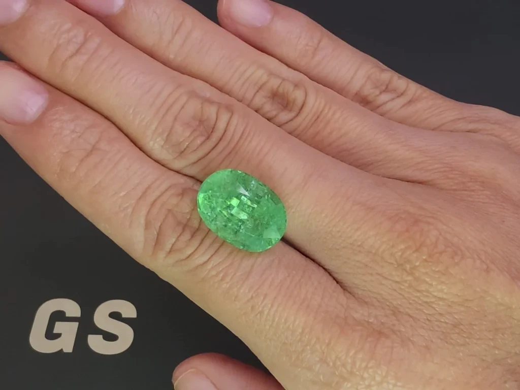 Лот №3. Турмалин Параиба Neon green в огранке овал 12,12 карат, Мозамбик  Изображение №2