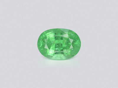 Лот №3. Турмалин Параиба Neon green в огранке овал 12,12 карат, Мозамбик  photo