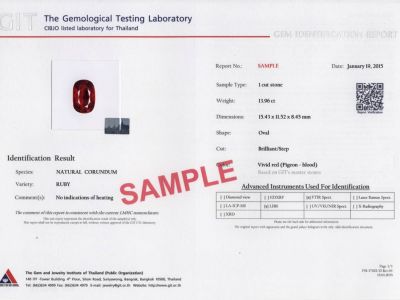 Identification Report GIT