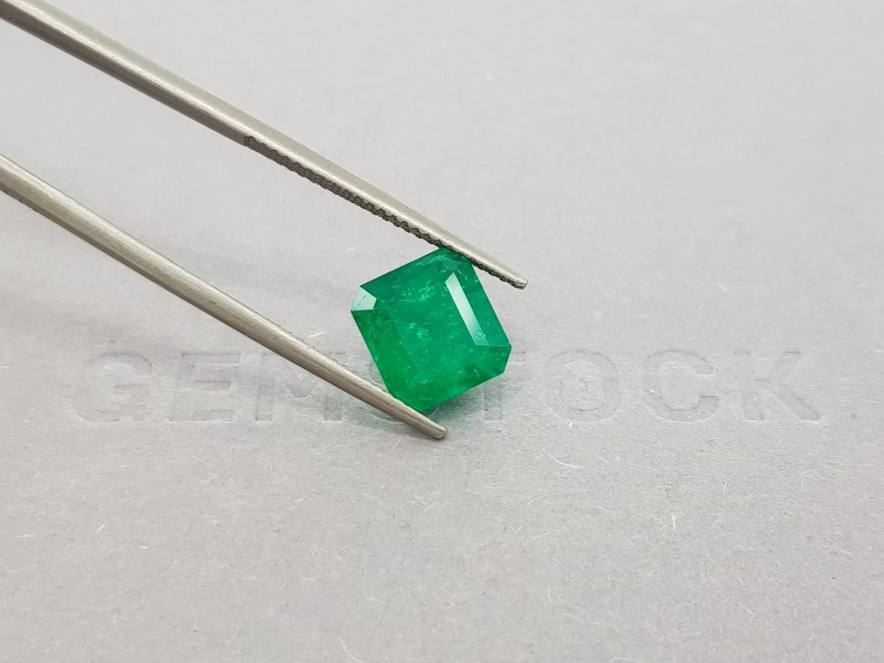 Изумруд цвета Vivid Green в огранке октагон 3,15 карат, Колумбия Изображение №4