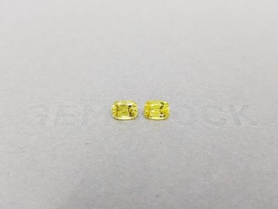 Пара ярких негретых лимонно-желтых сапфиров 1,21 карат, Мадагаскар